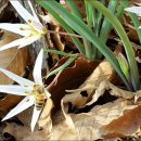 토영이야~길(2코스-미륵도길) 이미지