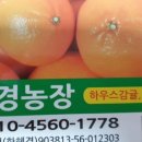 혜경농장 Daum카페