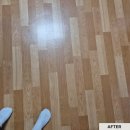개미청소 네이버블로그