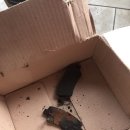 공임나라 등촌점 이미지