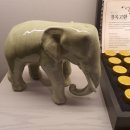 정성미한의원 이미지