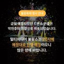 진남체육공원 진남체육관 | (11.8, 토) 2025 여수밤바다 불꽃축제​ 리플릿|팜플렛(일정 프로그램 행사장 셔틀버스 시내버스 주차장)