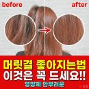 머릿결머릿결