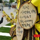 리본나무 이미지