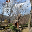 프라임캠핑장 이미지