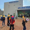 24년 10월 11일 울릉도 여행 후기
