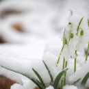 ChatGPT로 인공지능과 친해지기 이미지