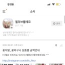 엘리브플레르 이미지