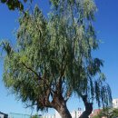 부평도호부관아 이미지