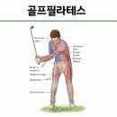 국제골프필라테스 네이버블로그