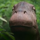 (주)마스포유 | <선사시대: 공룡이 지배하던 지구>: Darren Naish의 「숲」 제작 비화