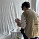 [완주 출장 스냅]태하 50일 촬영 사월스냅 내돈내산 후기