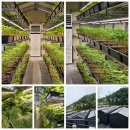 주식회사 스마트큐브 이미지