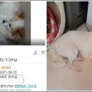 티지메디칼 이미지