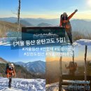 함백산민박 | 겨울 등산 운탄고도 5길(만항재~도롱이연못) - 강원도 정선 여행지 가볼만한곳 추천