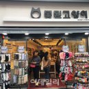 못된고양이