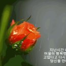 준비없는 이별 / 녹색지대(다비&amp;청포도) 이미지