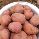 서홍농장 이미지