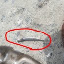 진영카서비스센타 이미지