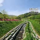 [증평 여행] 좌구산 자연휴양림 근처 가볼 만한 곳 별천지공원