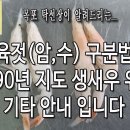 육젓 암,수 구분법, 참새우 크기로 새화,오젓,육젓으로 나뉨, 기타 안내입니다. 이미지