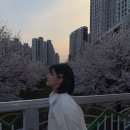상하이한의원 | 초록을 거머쥔 우리는