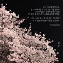 [학습카페-산격점]캘리그라피 기초반 | [공지] 노마드클로이의 30일 블로그 글쓰기 6기를 마치며