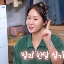 달시스타일 이미지