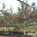 예산농장 이미지