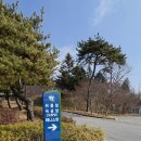 고창공설운동장 이미지