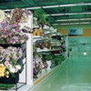 옹달샘분수 이미지