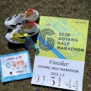 와이낫짐 | 2026년 고하마 하프 후기 (각인, 팁, pb달성)