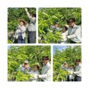 김영선농장 이미지