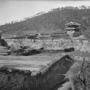 수원-2029 이미지