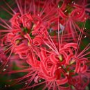 창원봉림고등학교 이미지