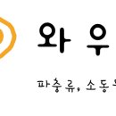눈눈캣 이미지