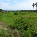 강정동-19 이미지