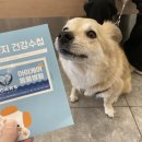 청라종합동물병원 이미지