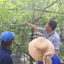 향기포도농원 이미지