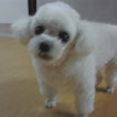 우리코코