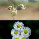 당산튼튼본의원 이미지