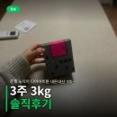 은젤 노식이 다이어트환 내돈내산 3주 솔직후기 가격 정보