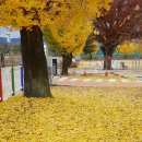 남하초등학교 이미지