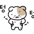 나이스 커피