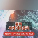 센트럴파이온 이미지