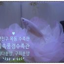 물속풍경수족관 이미지