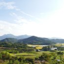 함안 말이산고분군 이미지