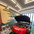 몰리(MOLY) 이미지