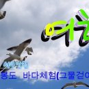 종현어촌마을 | 즉석에서 회 떠주는 구봉도 종현어촌체험마을 후기