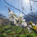 지리산황금농장 이미지